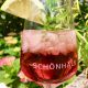 Roséwein Sommer Cocktail by Schönhals