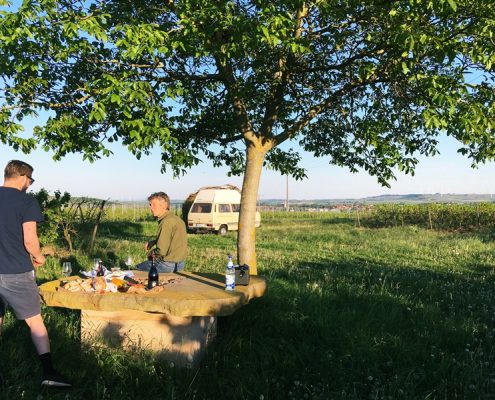 Mikroabenteuer im Schönhals-Weinberg in der Zeile für die Natur.