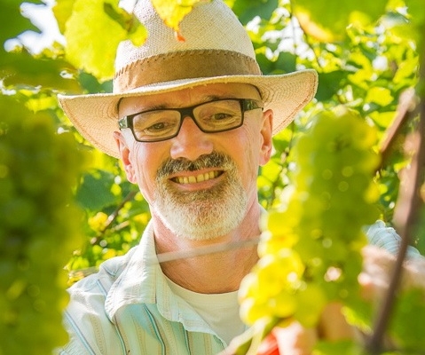Martin Knab im Weingut Schönhals 2