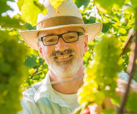 Martin Knab im Weingut Schönhals 2