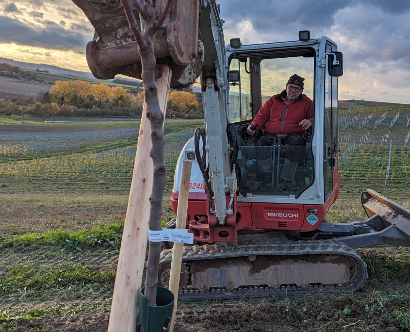 Unser Freund mit dem Bagger: Chicken